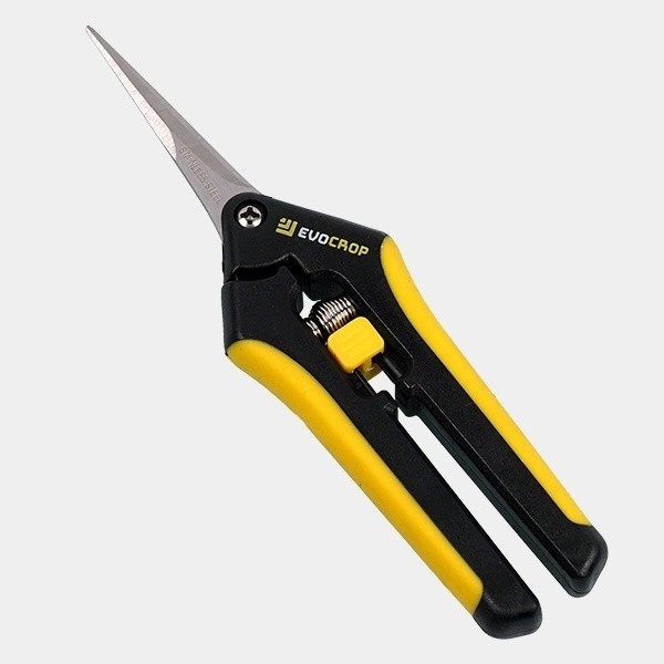Evocrop V-Cut Schere mit gerader Spitze – GB The Green Brand
