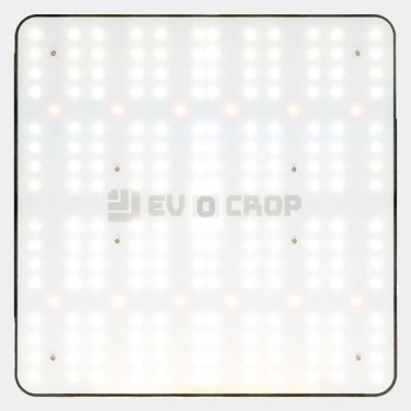 Wallace V1 120W LED-Panel kaufen - GB