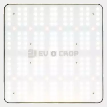 Wallace V1 120W LED-Panel kaufen - GB