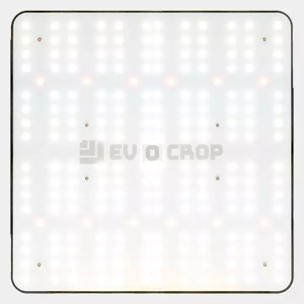 Wallace V1 120W LED-Panel kaufen - GB