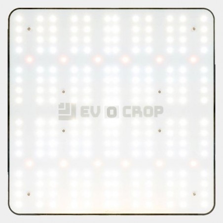 Wallace V1 120W LED-Panel kaufen - GB