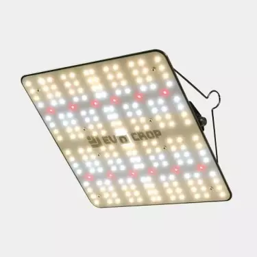 Wallace V1 120W LED-Panel kaufen - GB