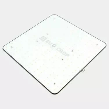 Wallace V1 120W LED-Panel kaufen - GB