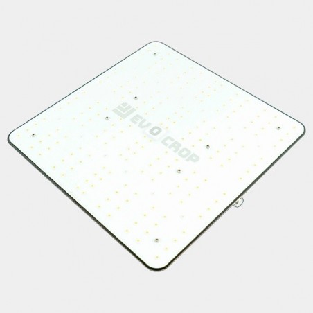 Wallace V1 120W LED-Panel kaufen - GB