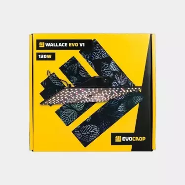 Wallace V1 120W LED-Panel kaufen - GB