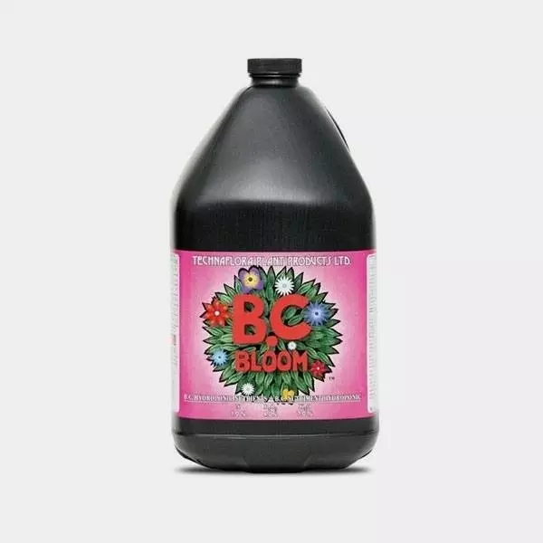B.C. Bloom von Technaflora Plant Products - Billig Wachsen