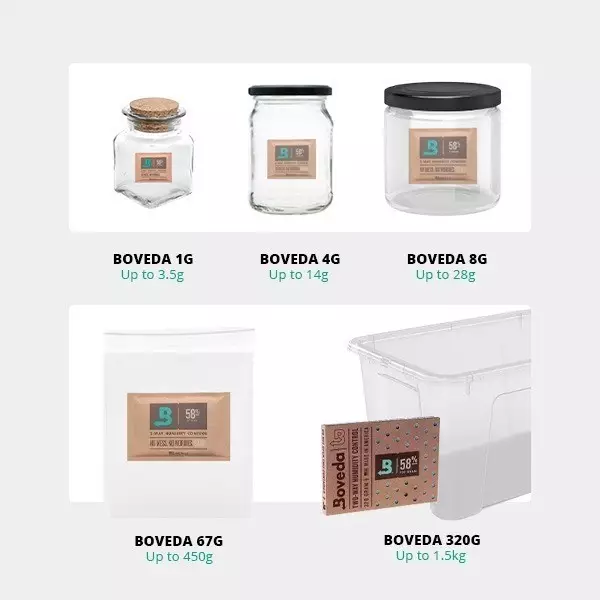 Boveda 58% Beutel für eine perfekte Trocknung - Günstig Wachsen