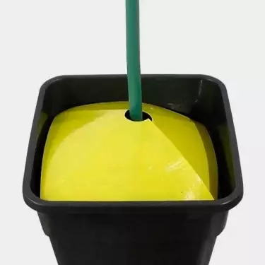 Gelbe Bodenfallentrichter für Insekten - GB The Green Brand