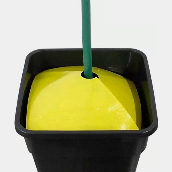 Gelbe Bodenfallentrichter für Insekten - GB The Green Brand