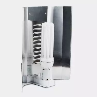 Solux CFL-Lampe - Billig Wachsen