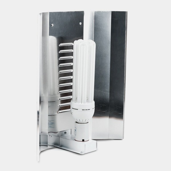 View Solux CFL-Lampe - Billig Wachsen