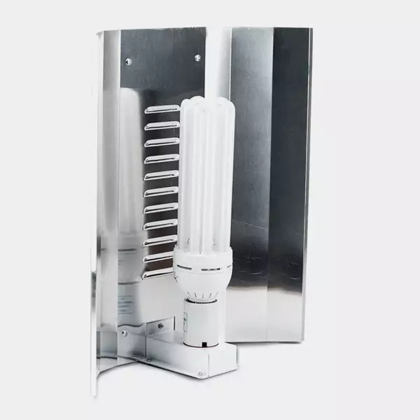 Sicht Solux CFL-Lampe - Billig Wachsen