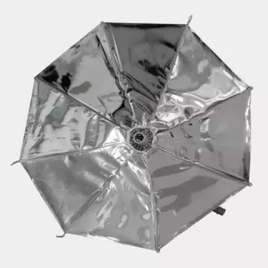 Daisy Schirmreflektor von Secret Jardin - Günstig wachsen