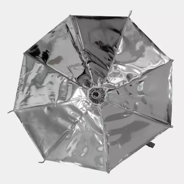 Sicht Daisy Schirmreflektor von Secret Jardin - Günstig wachsen