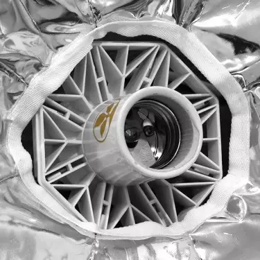 Daisy Schirmreflektor von Secret Jardin - Günstig wachsen