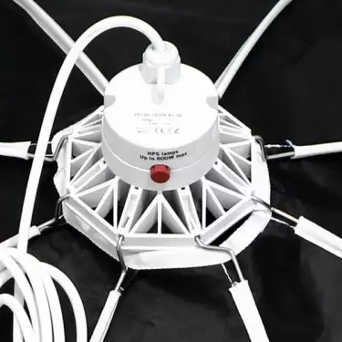 Daisy Schirmreflektor von Secret Jardin - Günstig wachsen