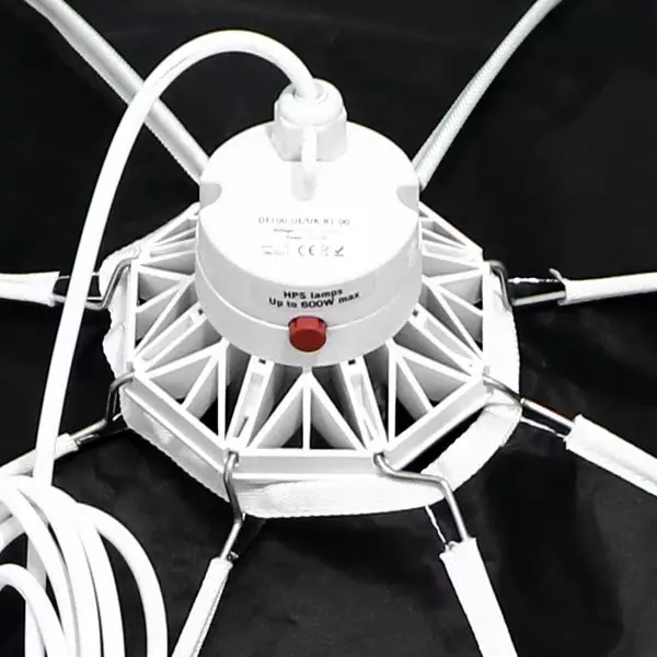 Daisy Schirmreflektor von Secret Jardin - Günstig wachsen