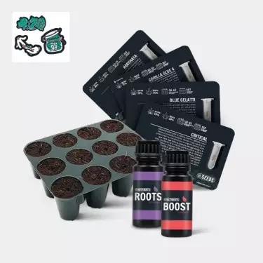 GB Seeds Box – GB The Green Brand