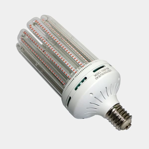 Solux Blühlampe LED energiesparend - Günstig Grow