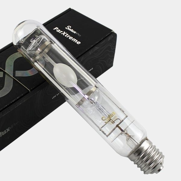 Parxtreme 600W-3100K Glühbirne kaufen - Günstig wachsen