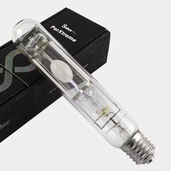 Sicht Parxtreme 600W-3100K Glühbirne kaufen - Günstig wachsen