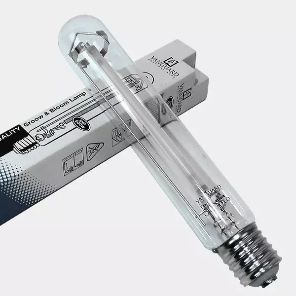 Sicht Vanguard Horti Max 600W Glühbirne - Günstig Grow