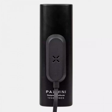 Pax Mini Kräutervaporizer - GB The Green Brand