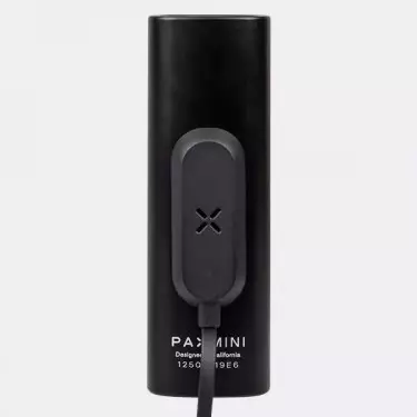 Pax Mini Kräutervaporizer - GB The Green Brand