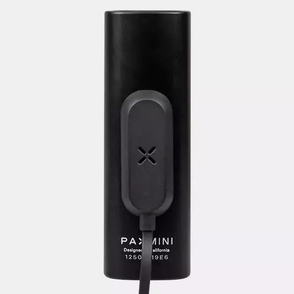 Pax Mini Kräutervaporizer - GB The Green Brand