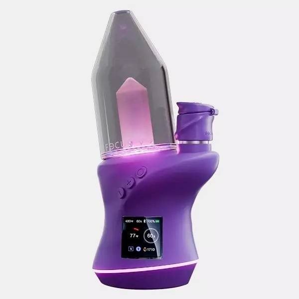 Focus V Carta 2 grape seitlich