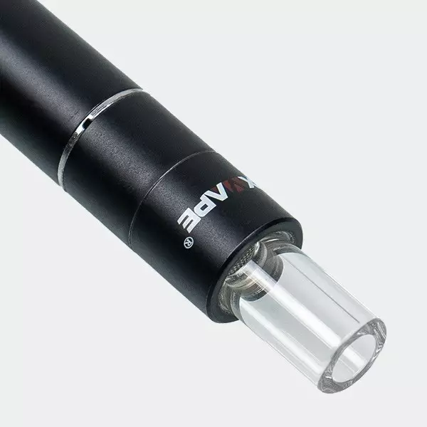 XVape Cricket Plus Vaporizer berg