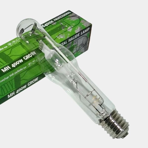 Glühbirne Pure Light HM Wachstumsphase - Günstig wachsen