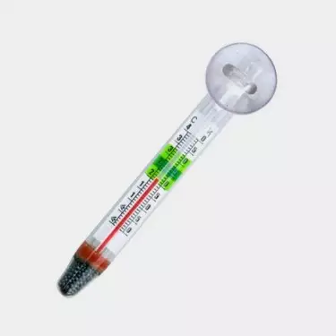 Wasserthermometer mit Saugnapf