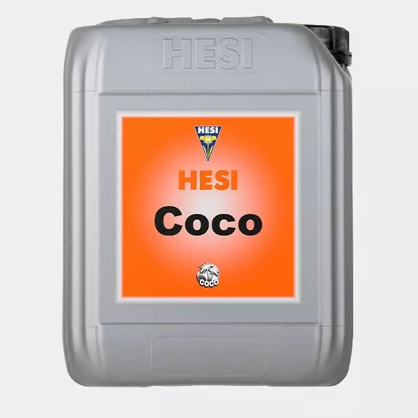 Coco Hesi Coco Hesi