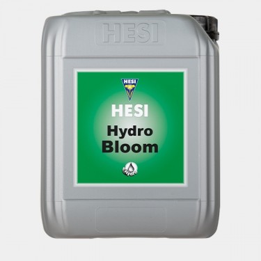 Hydro-Blüte