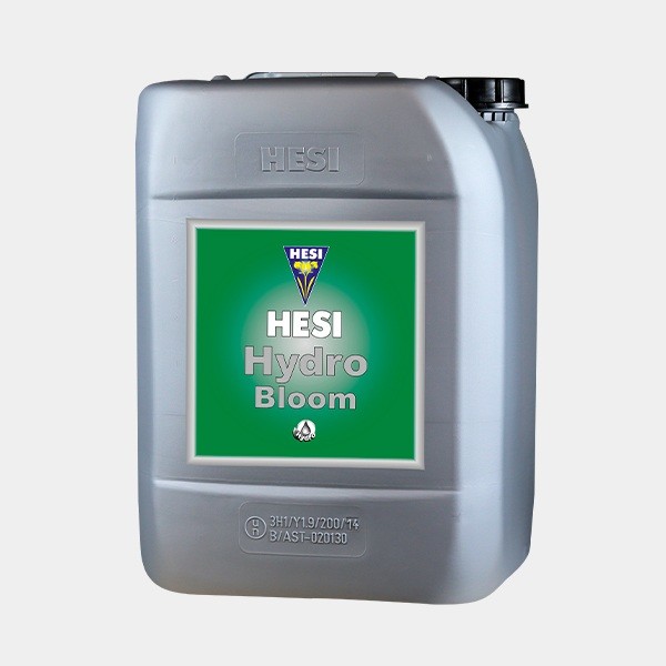 Hydro-Blüte