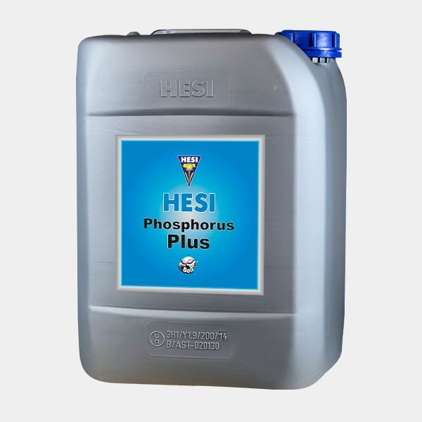 Phosphor Plus