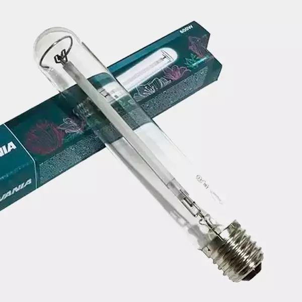 Sicht Sylvania Groxpress 600w Blütenglühbirne - Grow Günstig