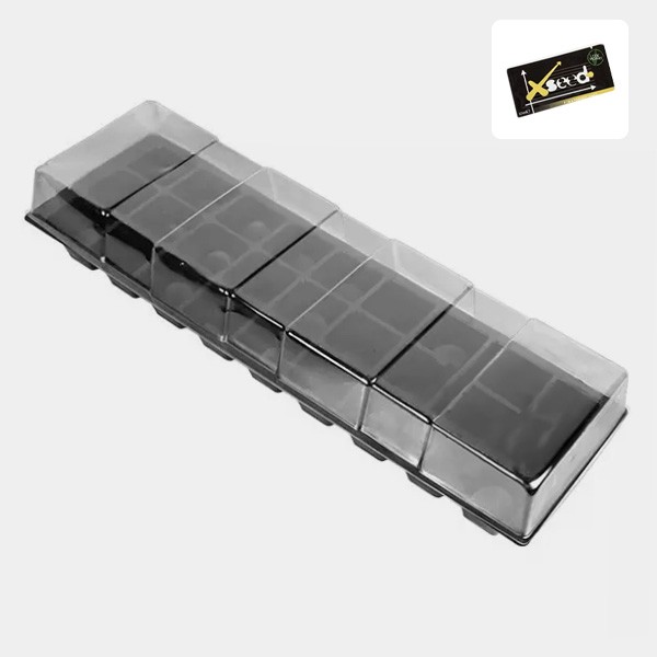 View GB Keimungskit mit X-seed BAC - GB