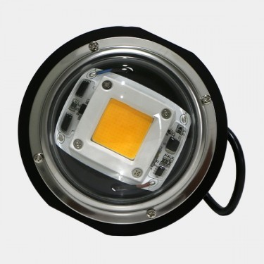 LED TX COB DOB Blase. Niedrigverbrauch - Günstige Aufzucht
