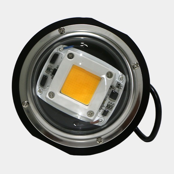 LED TX COB DOB Blase. Niedrigverbrauch - Günstige Aufzucht