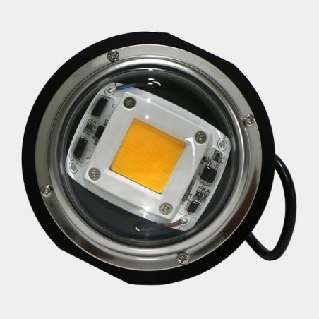 LED TX COB DOB Blase. Niedrigverbrauch - Günstige Aufzucht
