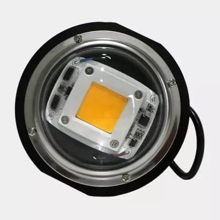 LED TX COB DOB Blase. Niedrigverbrauch - Günstige Aufzucht