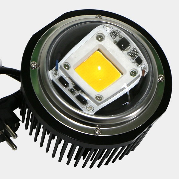 View LED TX COB DOB Blase. Niedrigverbrauch - Günstige Aufzucht