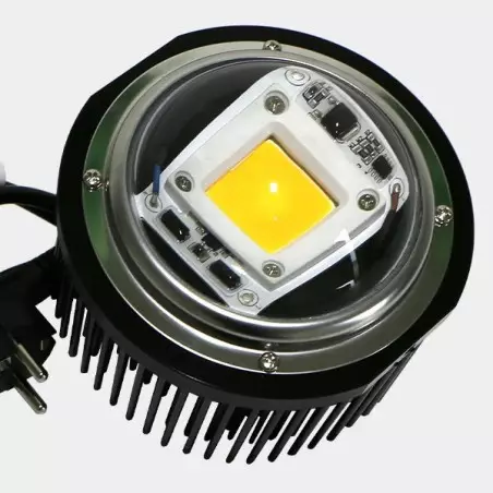 LED TX COB DOB Blase. Niedrigverbrauch - Günstige Aufzucht