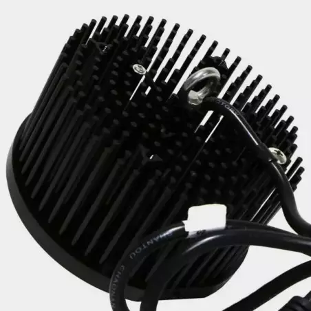 LED TX COB DOB Blase. Niedrigverbrauch - Günstige Aufzucht