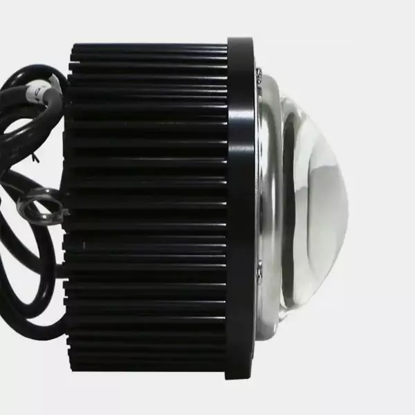 LED TX COB DOB Blase. Niedrigverbrauch - Günstige Aufzucht