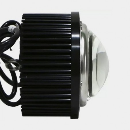 LED TX COB DOB Blase. Niedrigverbrauch - Günstige Aufzucht