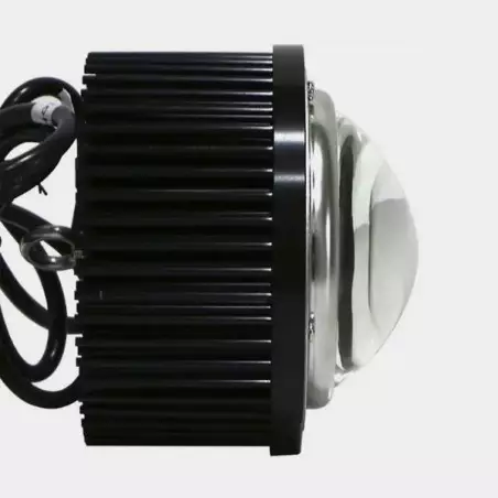 LED TX COB DOB Blase. Niedrigverbrauch - Günstige Aufzucht
