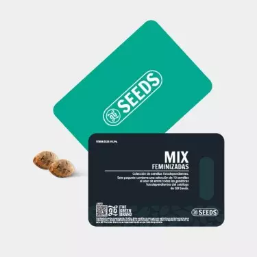 GB Seeds Feminisierte Mischung - GB The Green Brand